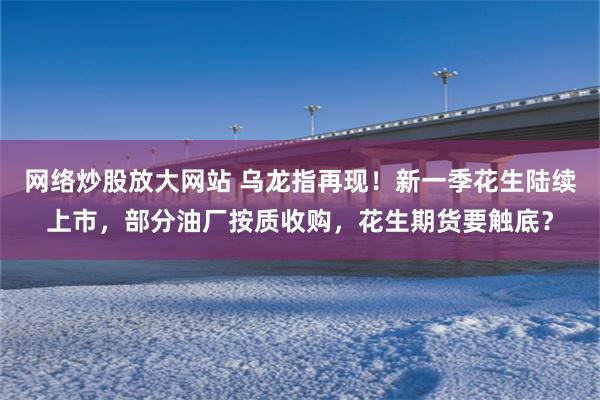 网络炒股放大网站 乌龙指再现！新一季花生陆续上市，部分油厂按质收购，花生期货要触底？