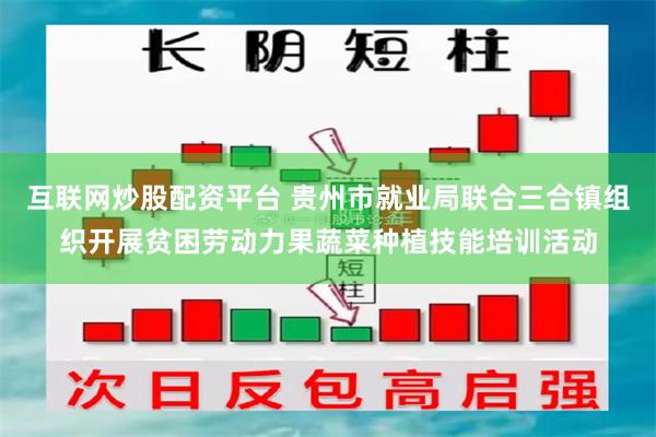 互联网炒股配资平台 贵州市就业局联合三合镇组织开展贫困劳动力果蔬菜种植技能培训活动