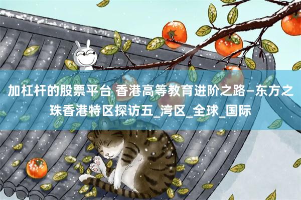加杠杆的股票平台 香港高等教育进阶之路—东方之珠香港特区探访五_湾区_全球_国际