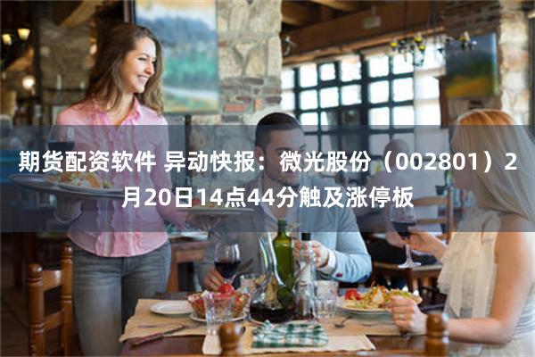 期货配资软件 异动快报：微光股份（002801）2月20日14点44分触及涨停板