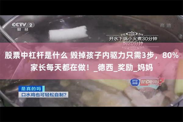 股票中杠杆是什么 毁掉孩子内驱力只需3步，80%家长每天都在做！_德西_奖励_妈妈