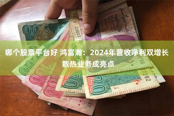 哪个股票平台好 鸿富瀚：2024年营收净利双增长 散热业务成亮点