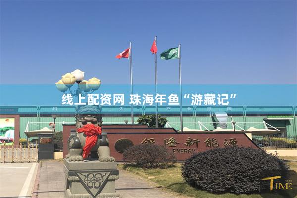 线上配资网 珠海年鱼“游藏记”
