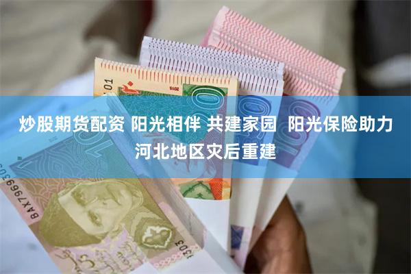 炒股期货配资 阳光相伴 共建家园  阳光保险助力河北地区灾后重建