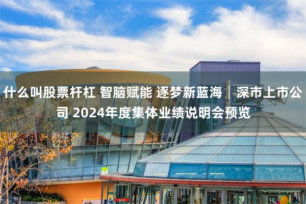 什么叫股票杆杠 智脑赋能 逐梦新蓝海│深市上市公司 2024年度集体业绩说明会预览