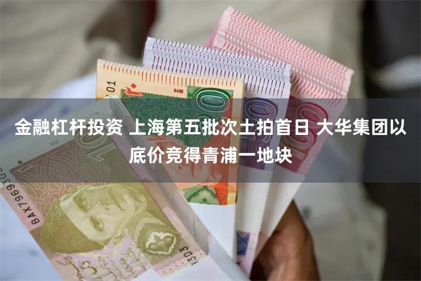 金融杠杆投资 上海第五批次土拍首日 大华集团以底价竞得青浦一地块
