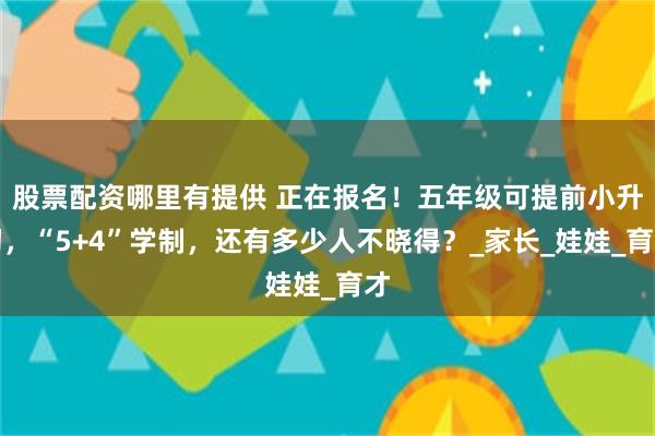 股票配资哪里有提供 正在报名！五年级可提前小升初，“5+4”学制，还有多少人不晓得？_家长_娃娃_育才