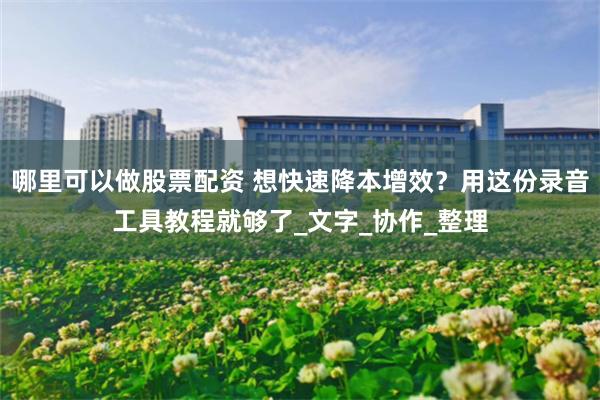 哪里可以做股票配资 想快速降本增效？用这份录音工具教程就够了_文字_协作_整理